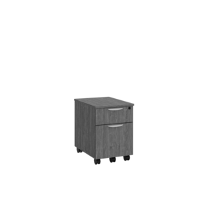 PL1007